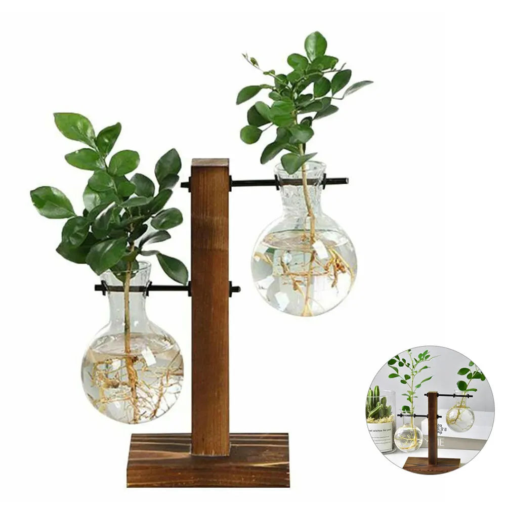 Creative Glass Vase with Wooden Stand