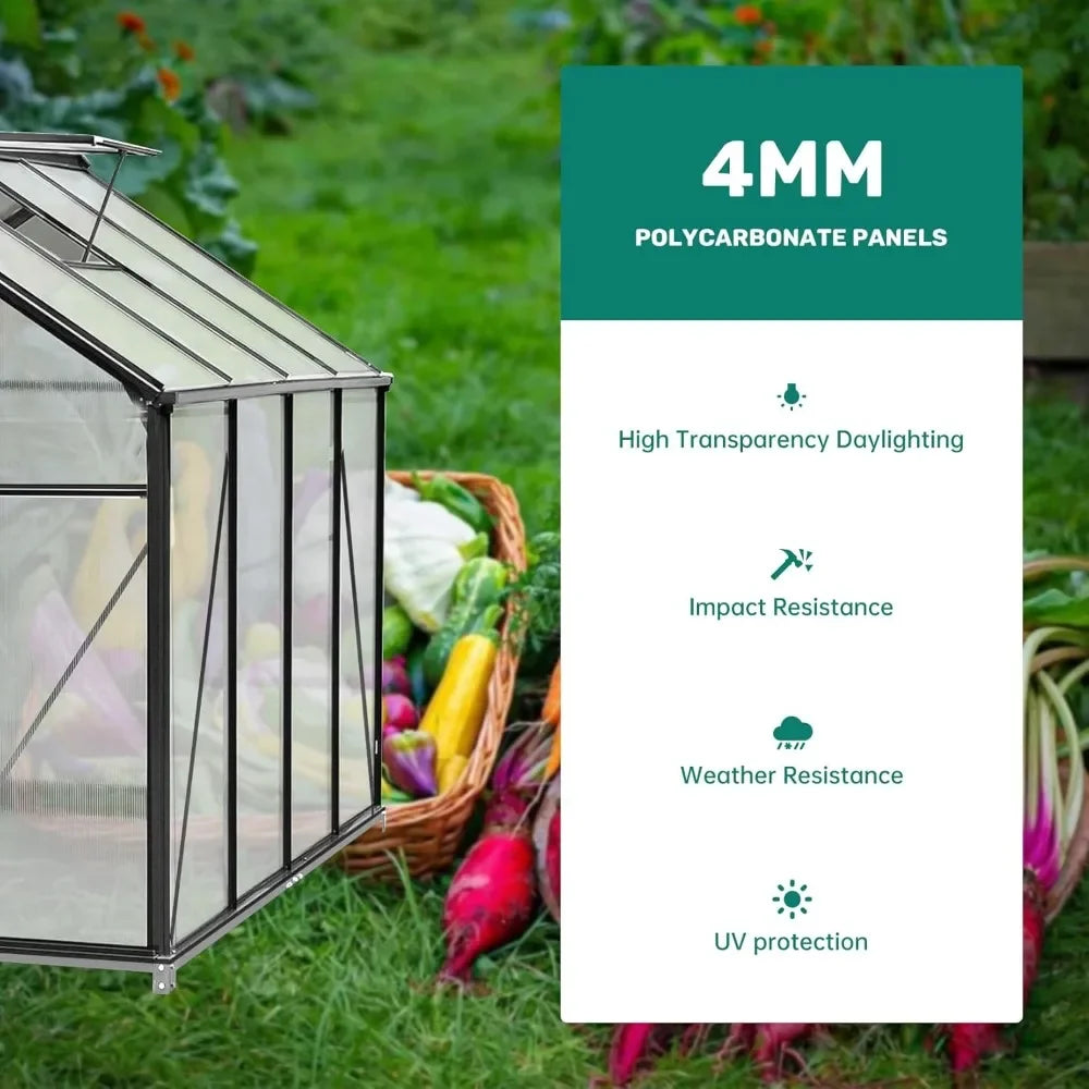 Large Durable Outdoor Polycarbonate Greenhouse