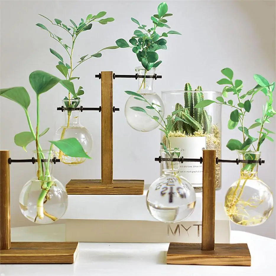 Creative Glass Vase with Wooden Stand