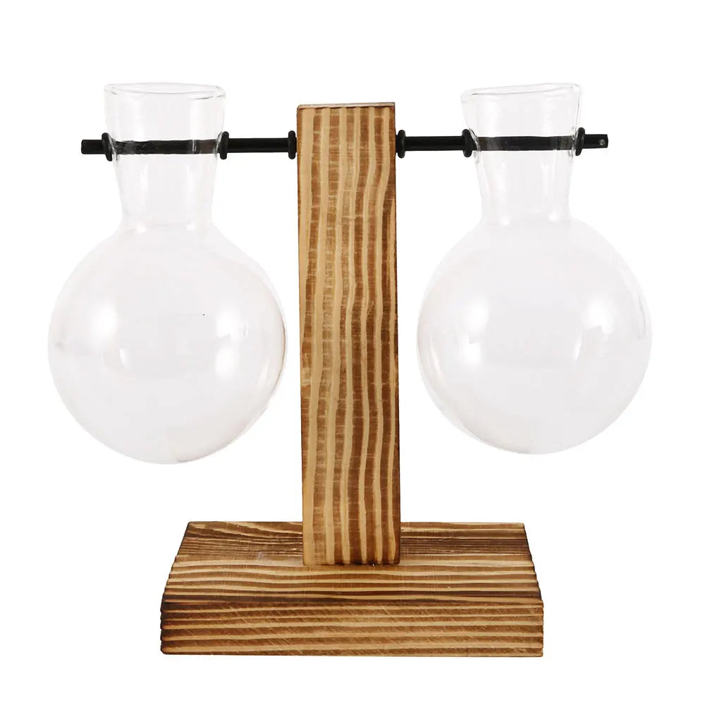 Creative Glass Vase with Wooden Stand